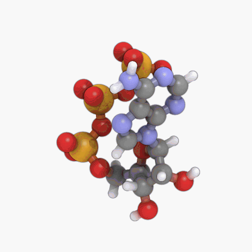 Metabolizam