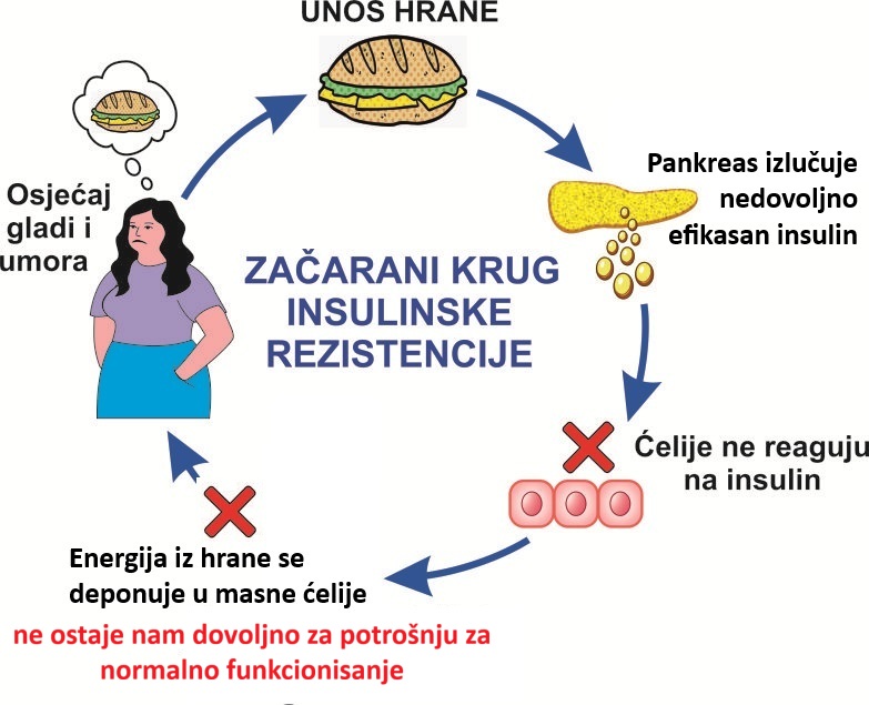 Zacarani krug